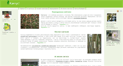 Desktop Screenshot of cactus.itoa.ru